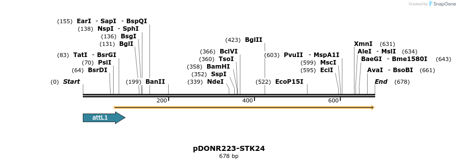 29403_map
