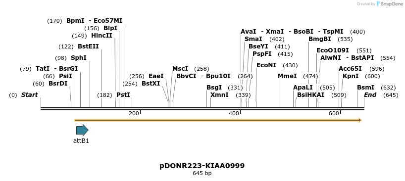 29404_map