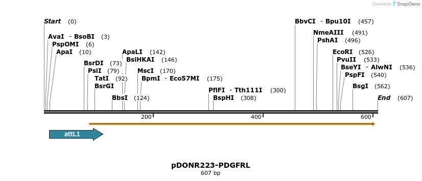 29405_map