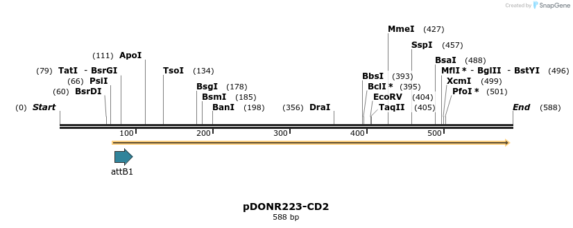 29406_map