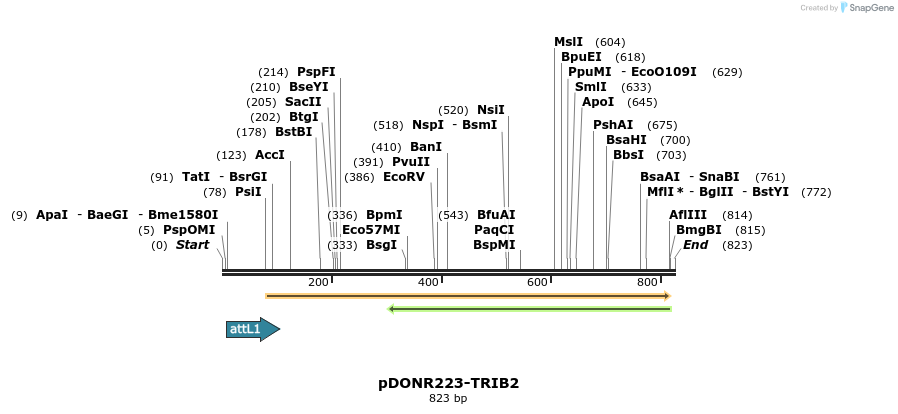 29407_map