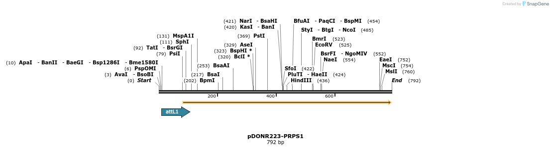 29408_map