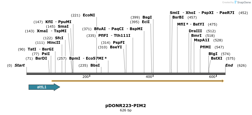29409_map