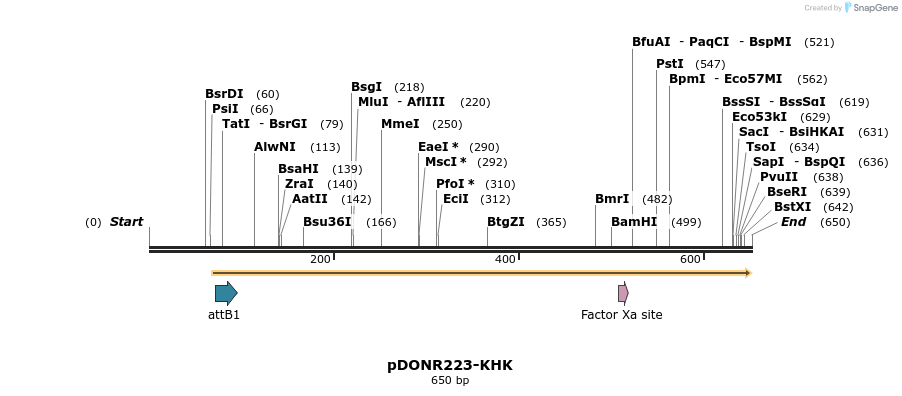 29410_map