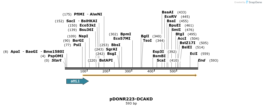 29411_map