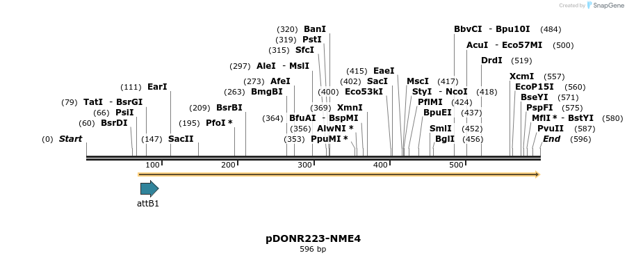 29412_map