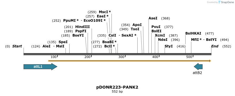 29413_map