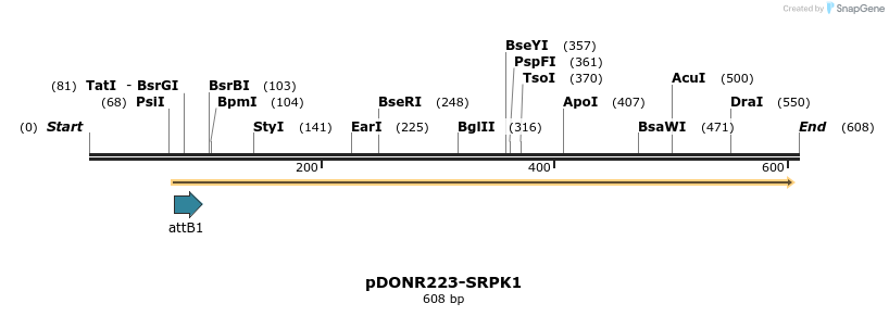 29414_map