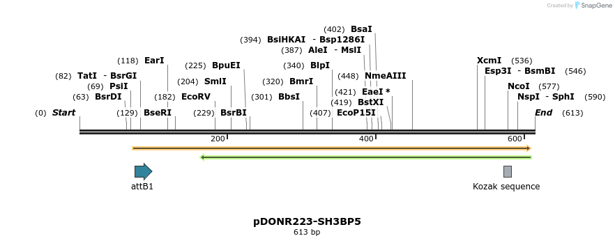 29417_map