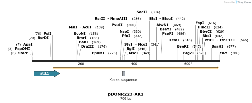 29420_map