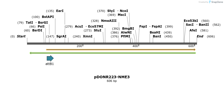 29421_map