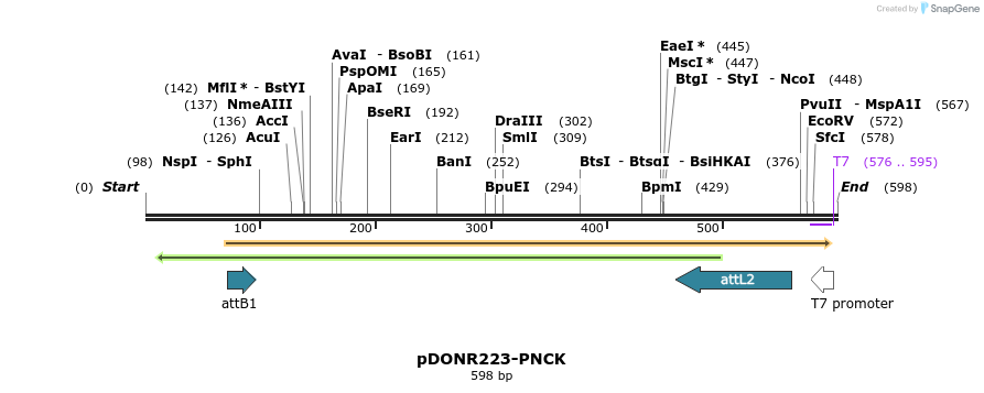 29423_map