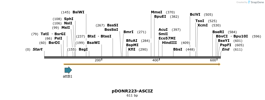 29424_map