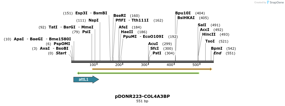 29425_map