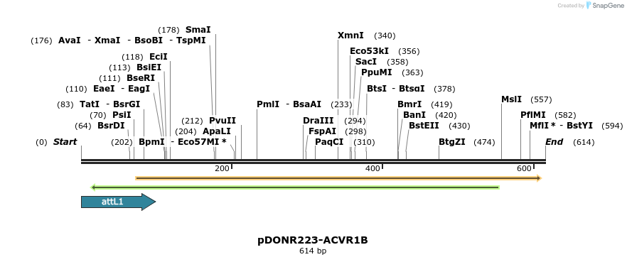 29427_map