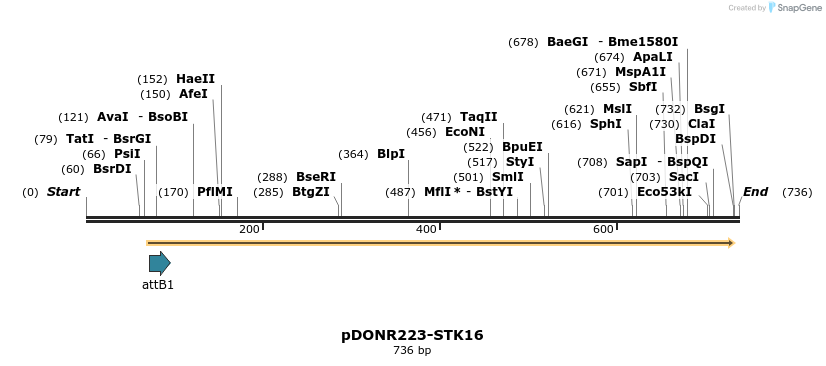 29429_map