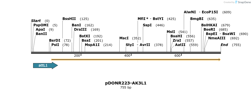 29430_map