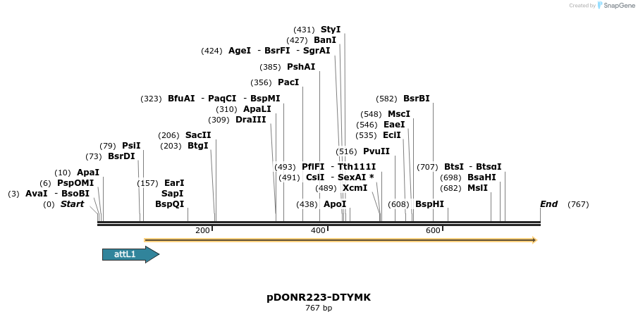 29431_map