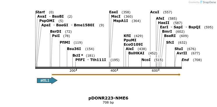 29432_map