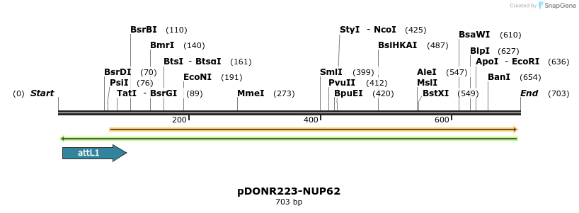 29435_map