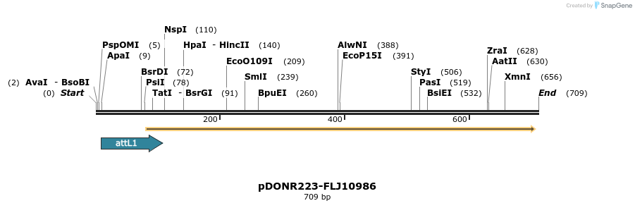 29437_map