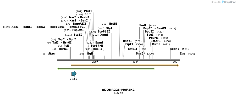 29439_map