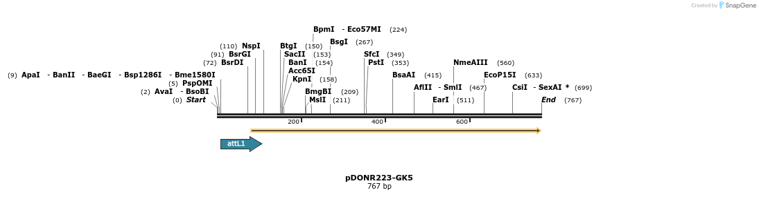 29440_map