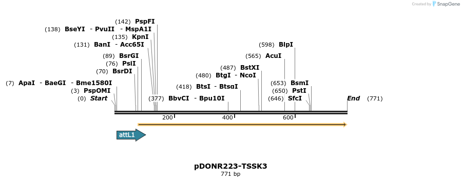 29441_map