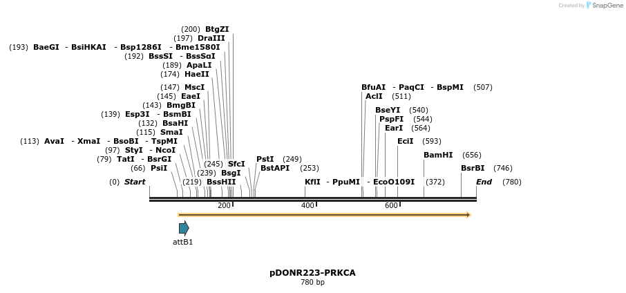 29444_map
