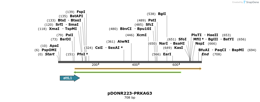 29445_map