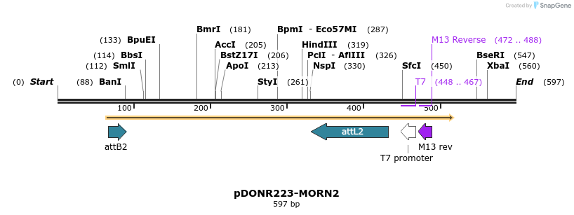29447_map