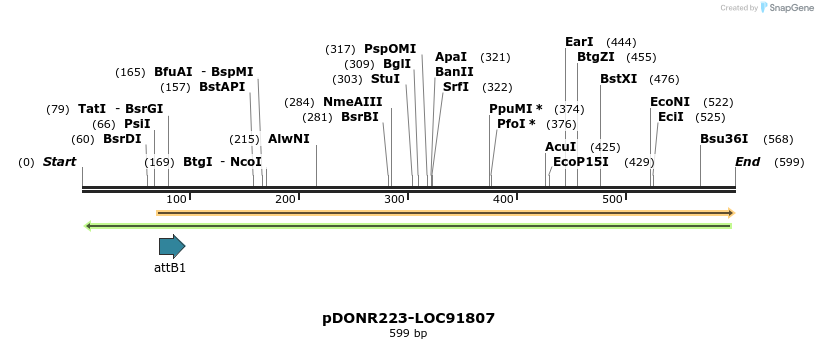 29448_map