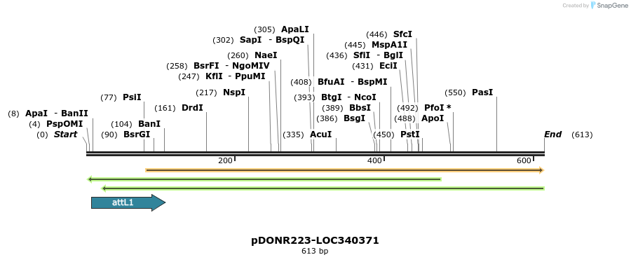 29449_map