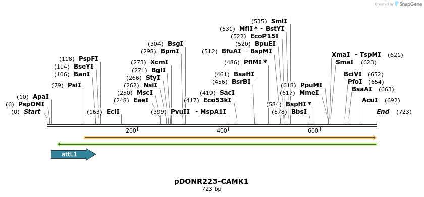 29450_map