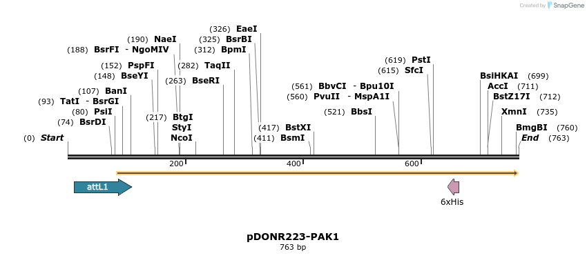 29451_map