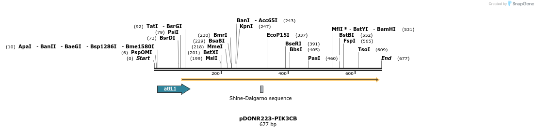 29452_map