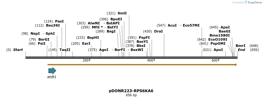 29454_map