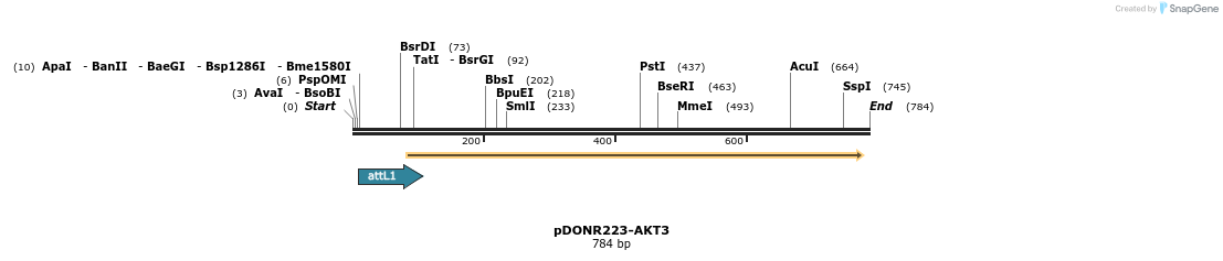 29455_map