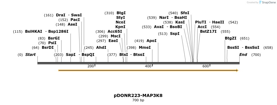 29456_map