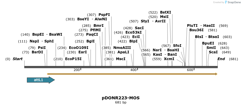 29457_map