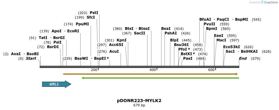 29458_map