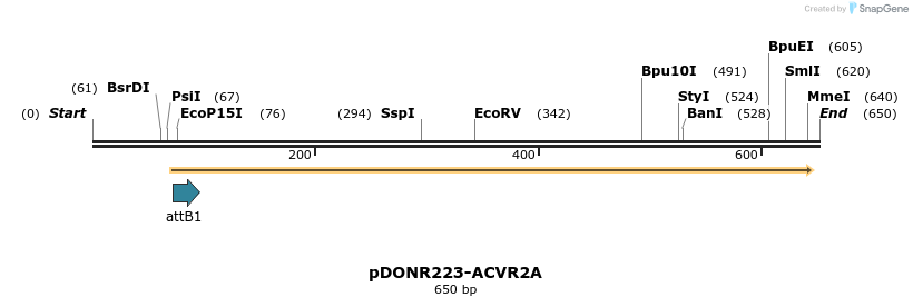 29460_map