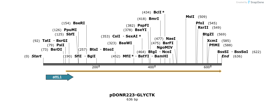 29461_map