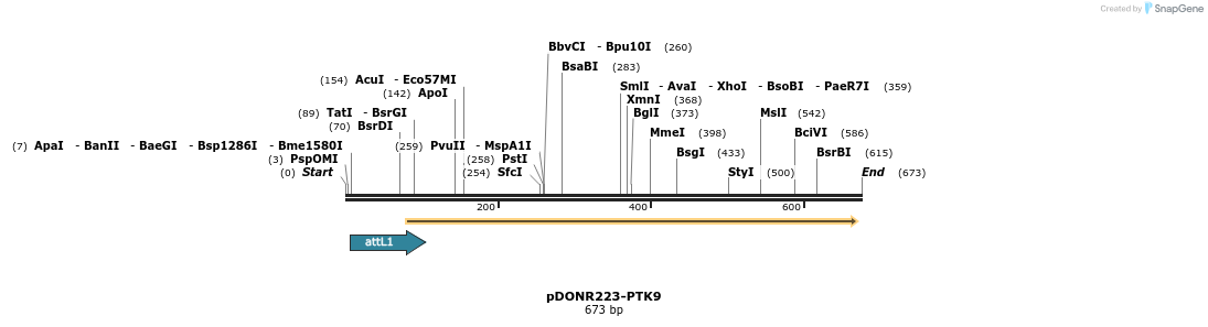 29463_map