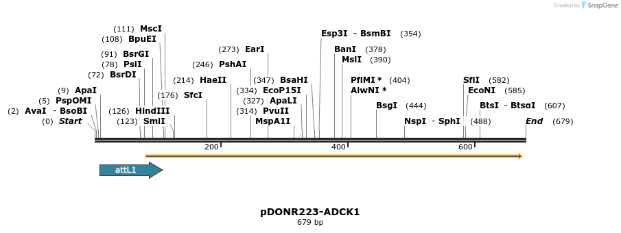 29464_map