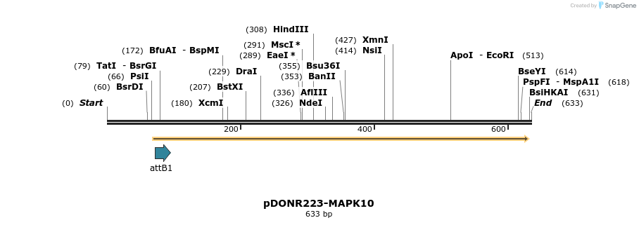 29465_map
