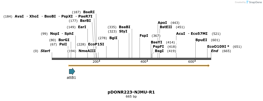 29466_map