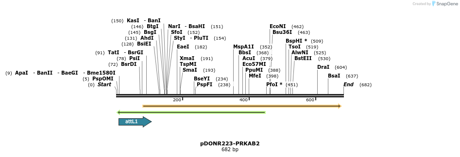 29467_map