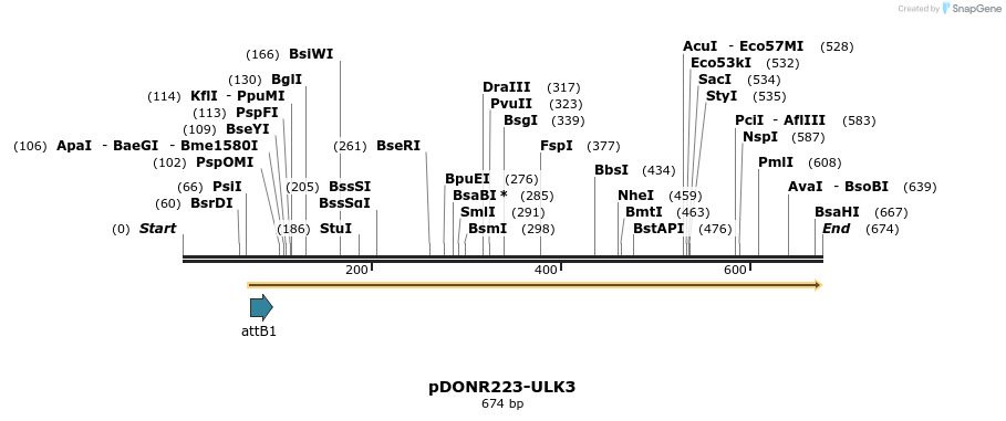 29468_map