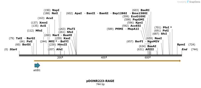 29469_map